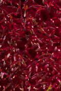 Amarant Red Garnet – semienka na mikrozeleninu, 2. fotka