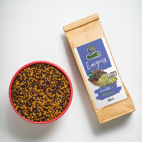 Easymix Kaleráb + Ďatelina purpurová – semienka na klíčenie, 2. fotka