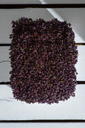Horčica Red Frilled – semienka na mikrozeleninu, 4. fotka