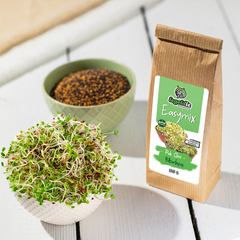 Easymix Pak choi + Ďatelina purpurová – semienka na klíčenie