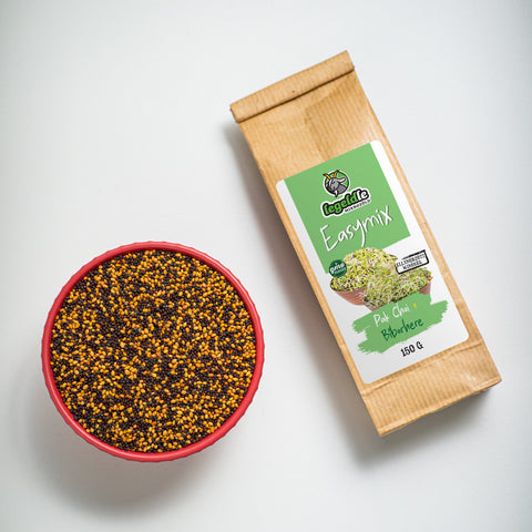 Easymix Pak choi + Ďatelina purpurová – semienka na klíčenie, 2. fotka