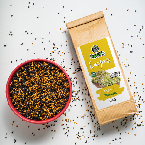 Easymix Repka + Ďatelina purpurová – semienka na klíčenie, 3. fotka